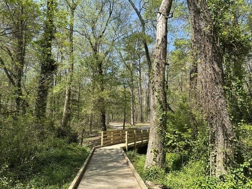 Nature trail boardwalk, part of The Sycamore School's outdoor classroom